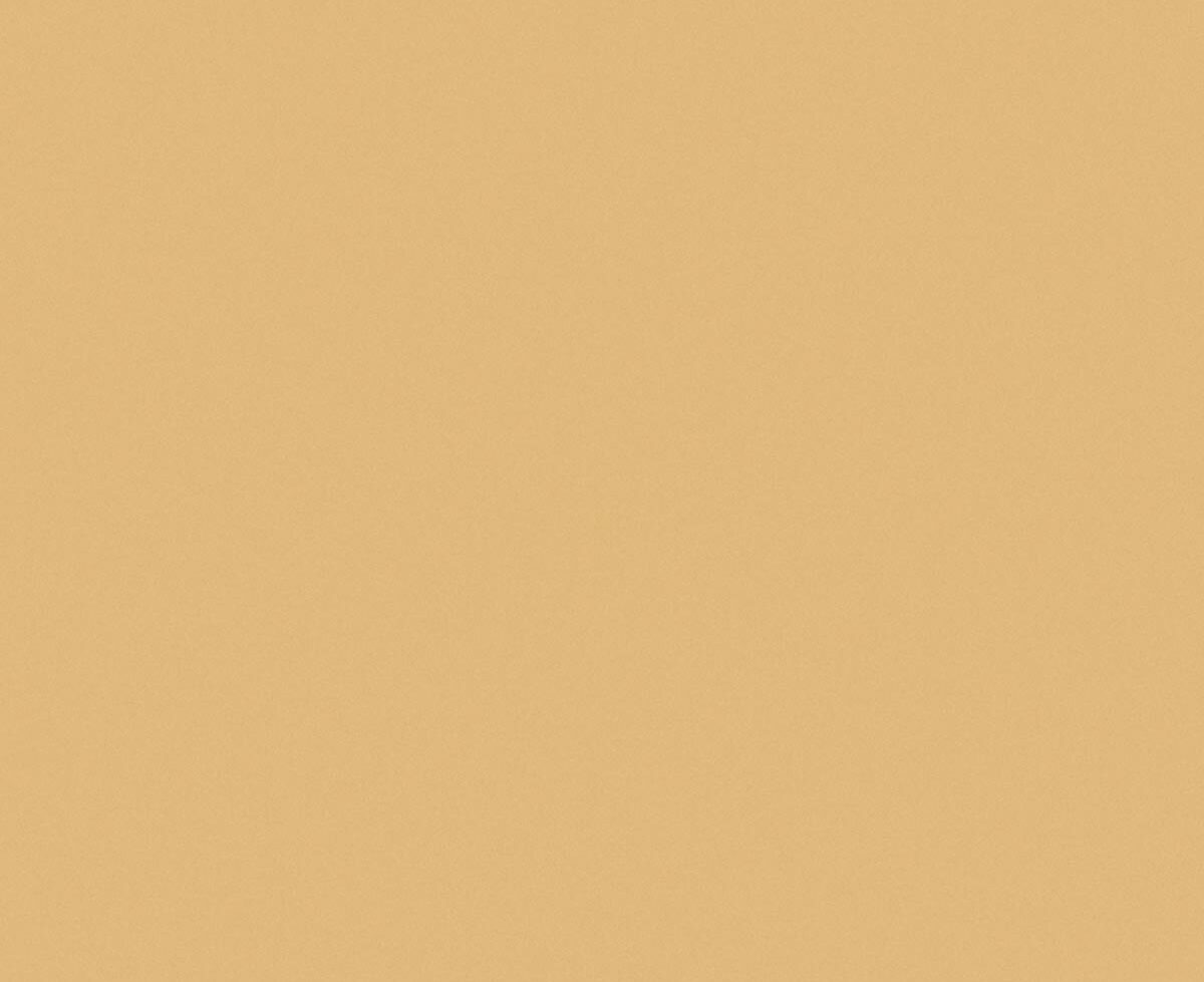 Laminex Formica Classic Laminate Pale Honey Natural