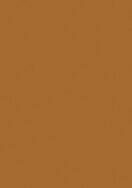 Laminex Formica Classic Laminate Burnt Ochre Natural