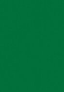 Laminex Formica Classic Laminate Memphis Green Natural