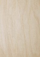 Melteca Standard Raw Birchply Organic