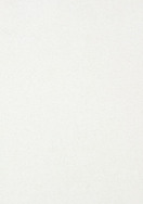 Caesarstone Project Snow 2141 Polished