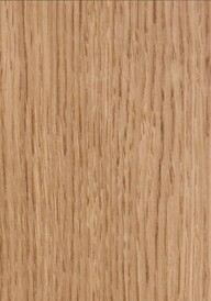 American White Oak